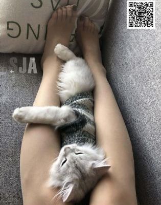 文轩探花在线观看_BD免费电视剧