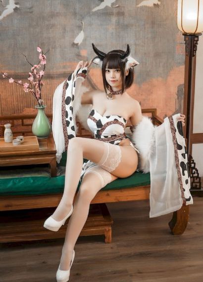 花房姑娘免费观看全集电视剧_剧情片影视在线观看