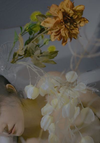 电视剧乐游原免费观看完整版_高清在线观看高清