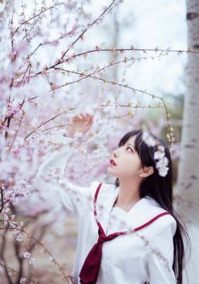 《永生》动漫_DVD在线播放观看